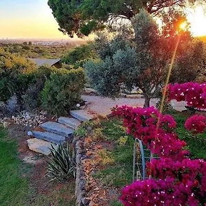Oasis Camp Portugal Campo de lujo